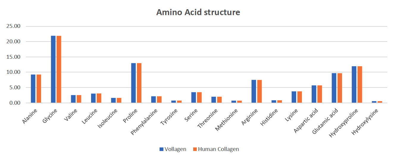 Vollagen Structure