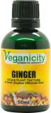 Ginger Tincture